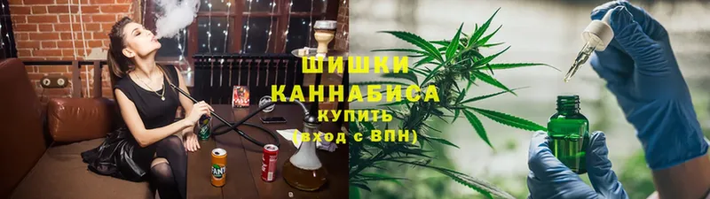 цена наркотик  Бирюсинск  ссылка на мегу зеркало  Конопля конопля 